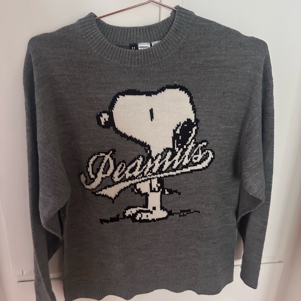 H&M Dark Gray Peanuts Sweater